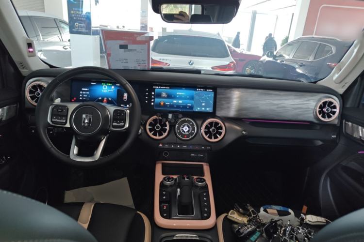 Used Tank 300 2023 City Edition 2.0T Essential Model