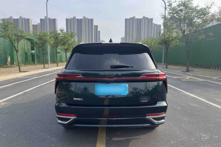 Used Wey Lanshan 2023 Four-Wheel Drive Ultra-Long Range Version Exterior 2