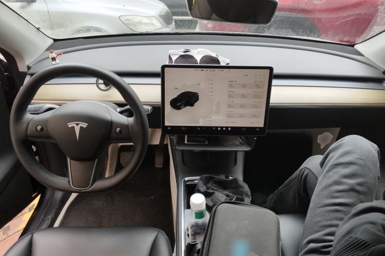 Used Tesla Model Y 2022 Revised Version Long-Range All-Wheel Drive
