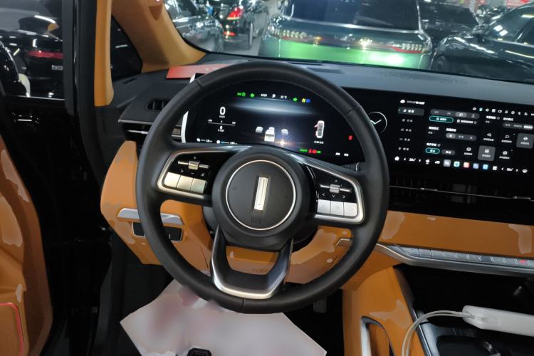 Used Wey Gaoshan 2023 Four-Wheel-Drive Executive Extended Version
