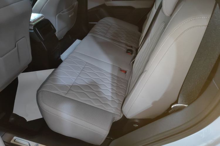 Used BYD Tang New Energy 2024 DM-p Champion Edition 215 km All-Wheel-Drive Flagship Model Left Rear Seat