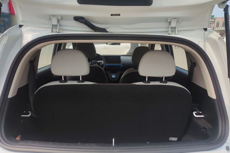 Used ORA White Cat 2020 305 km Luxury Version
