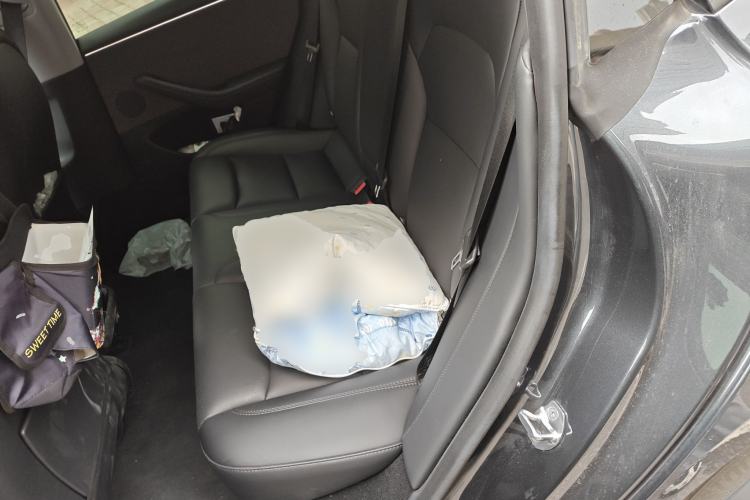 Used Tesla Model 3 2025 Rear-Wheel-Drive Version
