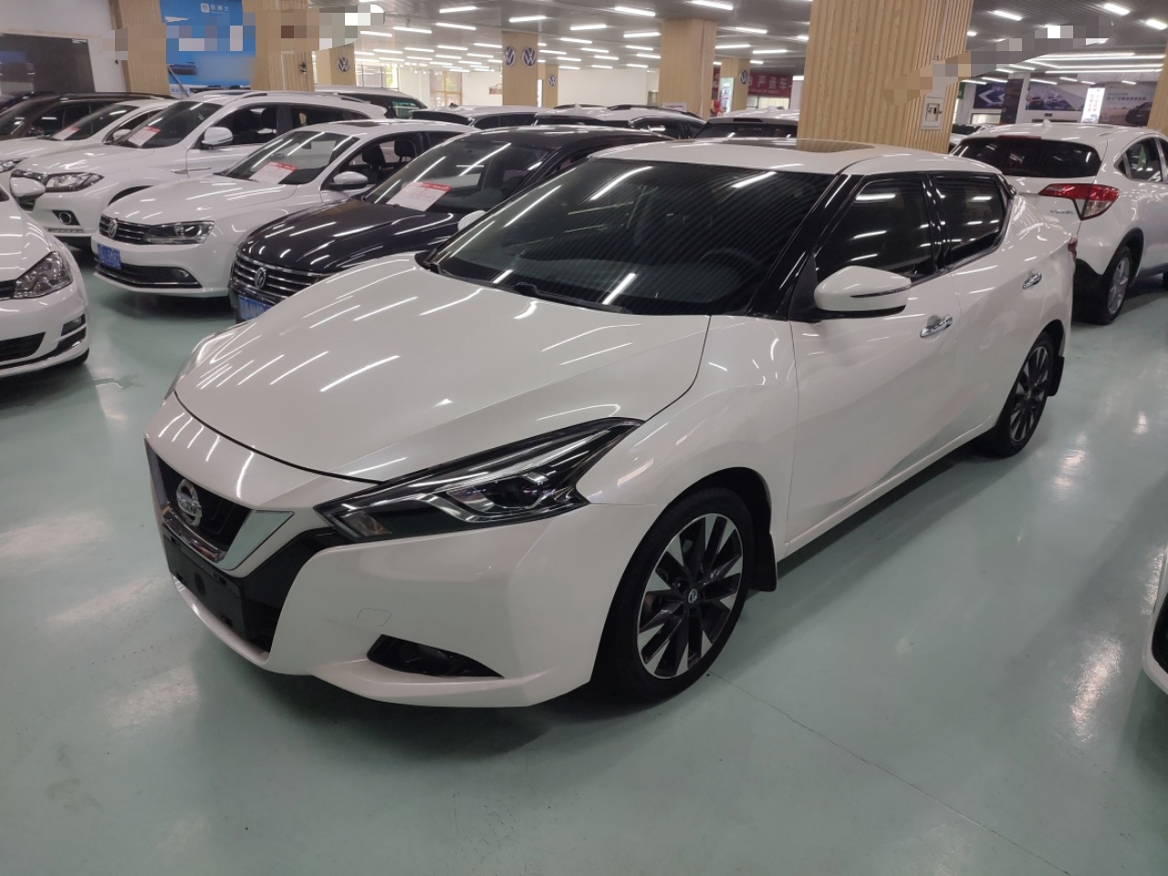 Parte inferior delantera