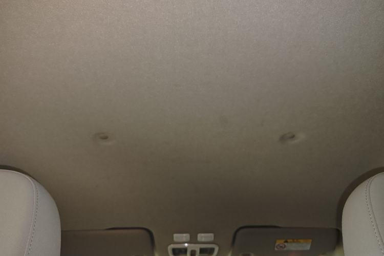 Used ORA White Cat 2020 305 km Luxury Version Headliner