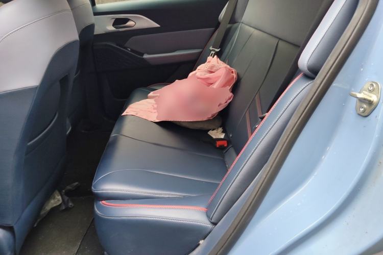 Used Geometry E Firefly 2022 401 km Linglong Tiger 4 Seats