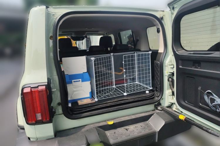 Used Tank 300 2021 City Edition 2.0T—Truly Stylish Trunk