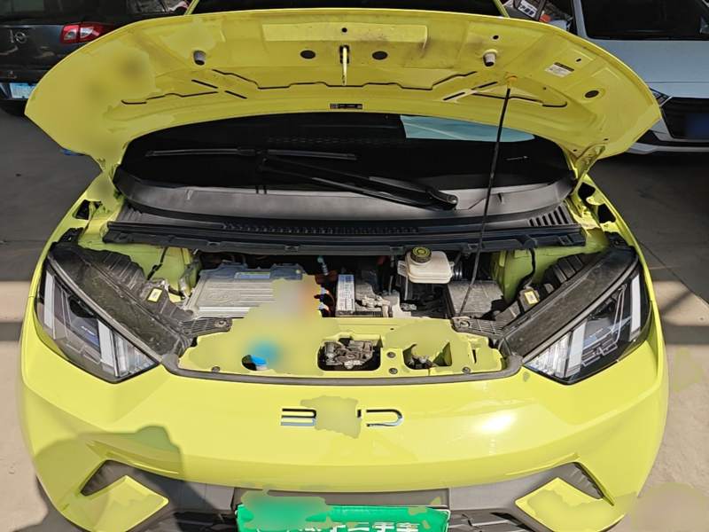 Used BYD Seagull 2023 Free Edition — 19
