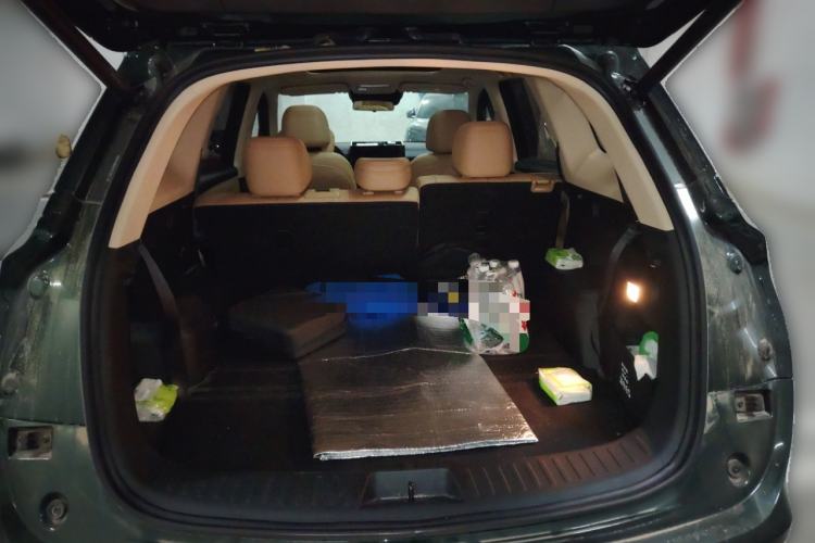 Used Landian E5 PLUS 2025 165 km Long-Range Version 7 Seats