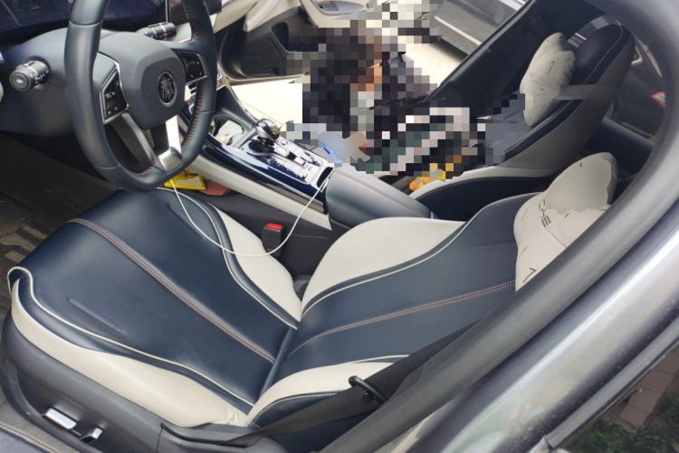 Used BYD Qin PLUS 2021 DM-i 55KM Flagship Model
