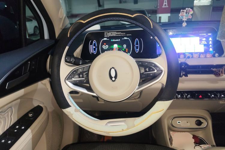 Used ORA Good Cat 2023 401 km Standard Range Luxury Version Lithium Iron Phosphate
