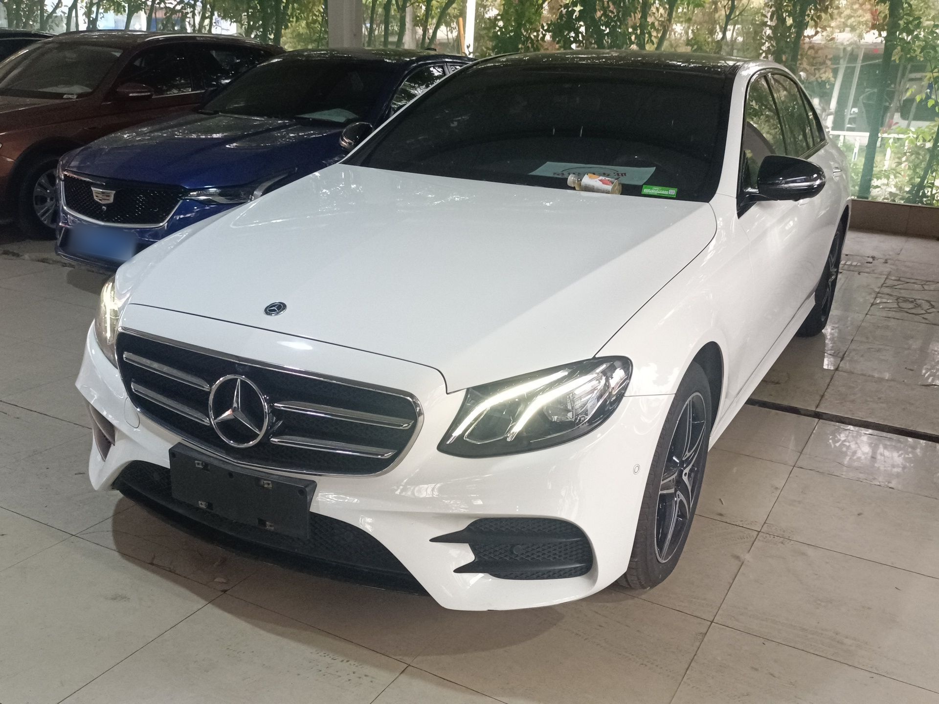 Parte inferior delantera