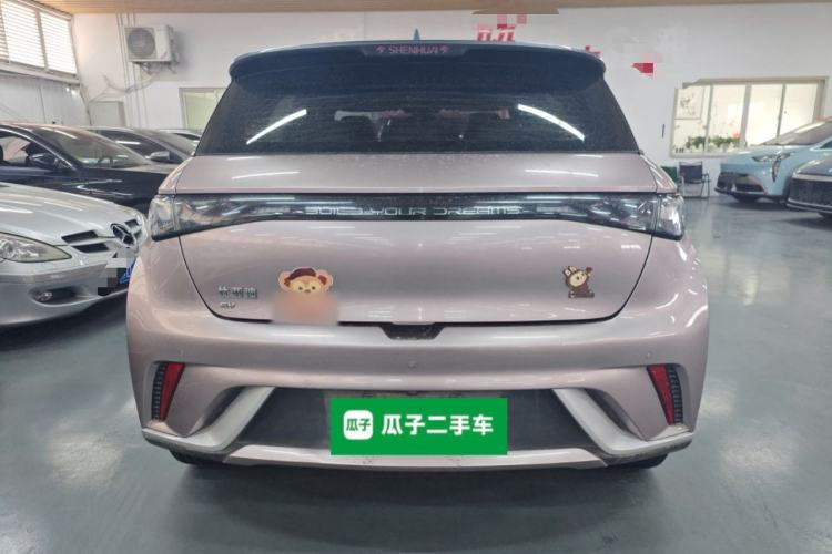 Used BYD Dolphin 2021 405 km Fashion Edition Rear