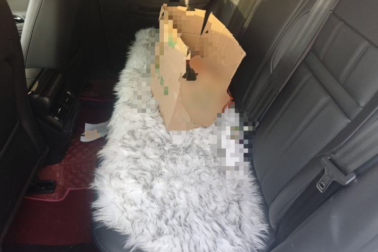 Used Land Rover Range Rover Evoque 2020 249 PS R-DYNAMIC S Black Edition Sport Version