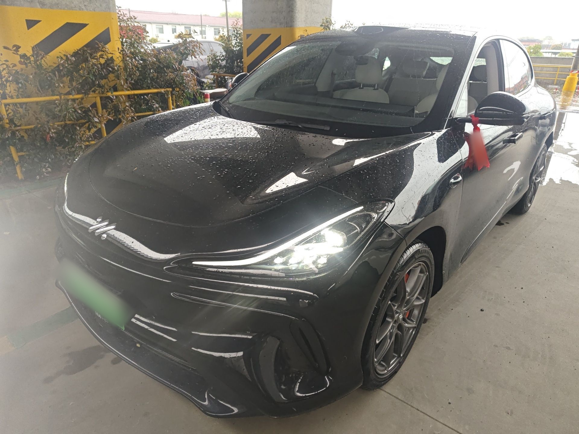 Parte inferior delantera