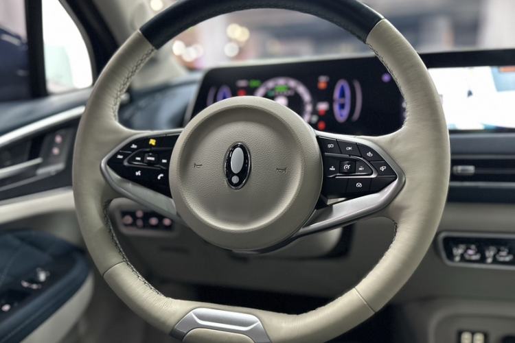 Used ORA Good Cat 2022 Morandi Edition 400km Standard Range Premium Version Lithium Iron Phosphate
