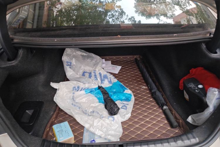 Used BMW 5 Series 2019 Facelifted 530Li Luxury Edition Premium Package Trunk