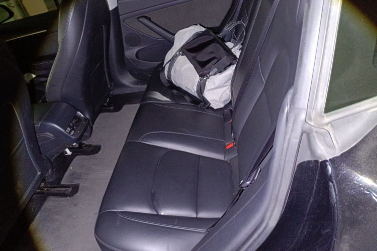 Used Tesla Model 3 2021 Revised Version Standard Range Rear-Wheel Drive Upgraded Edition 3D1