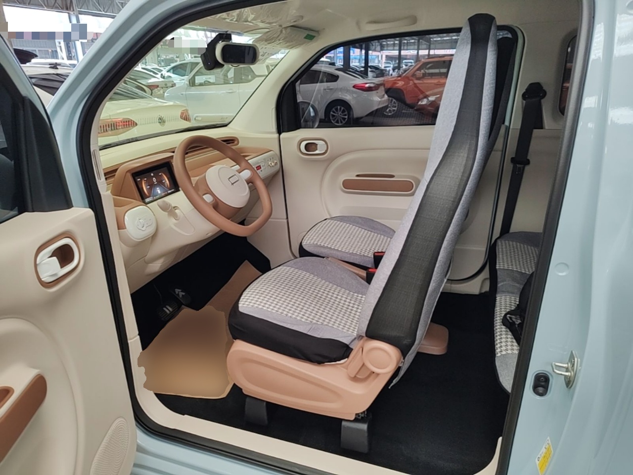 Interior delantero