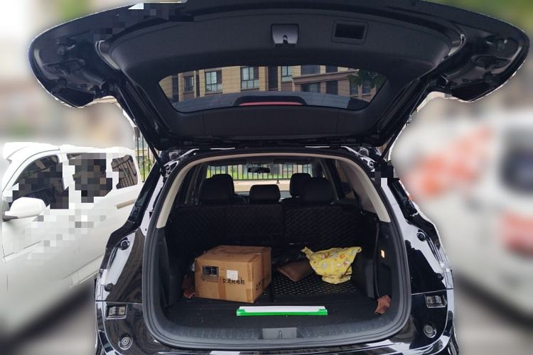 Used Landian E5 2024 Honor Edition 100KM Comfort Model 7 Seats