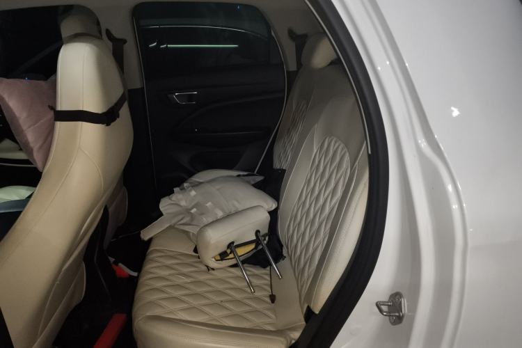 Used Leapmotor T03 2021 400 Lite Edition Lithium Iron Phosphate Left Rear Seat