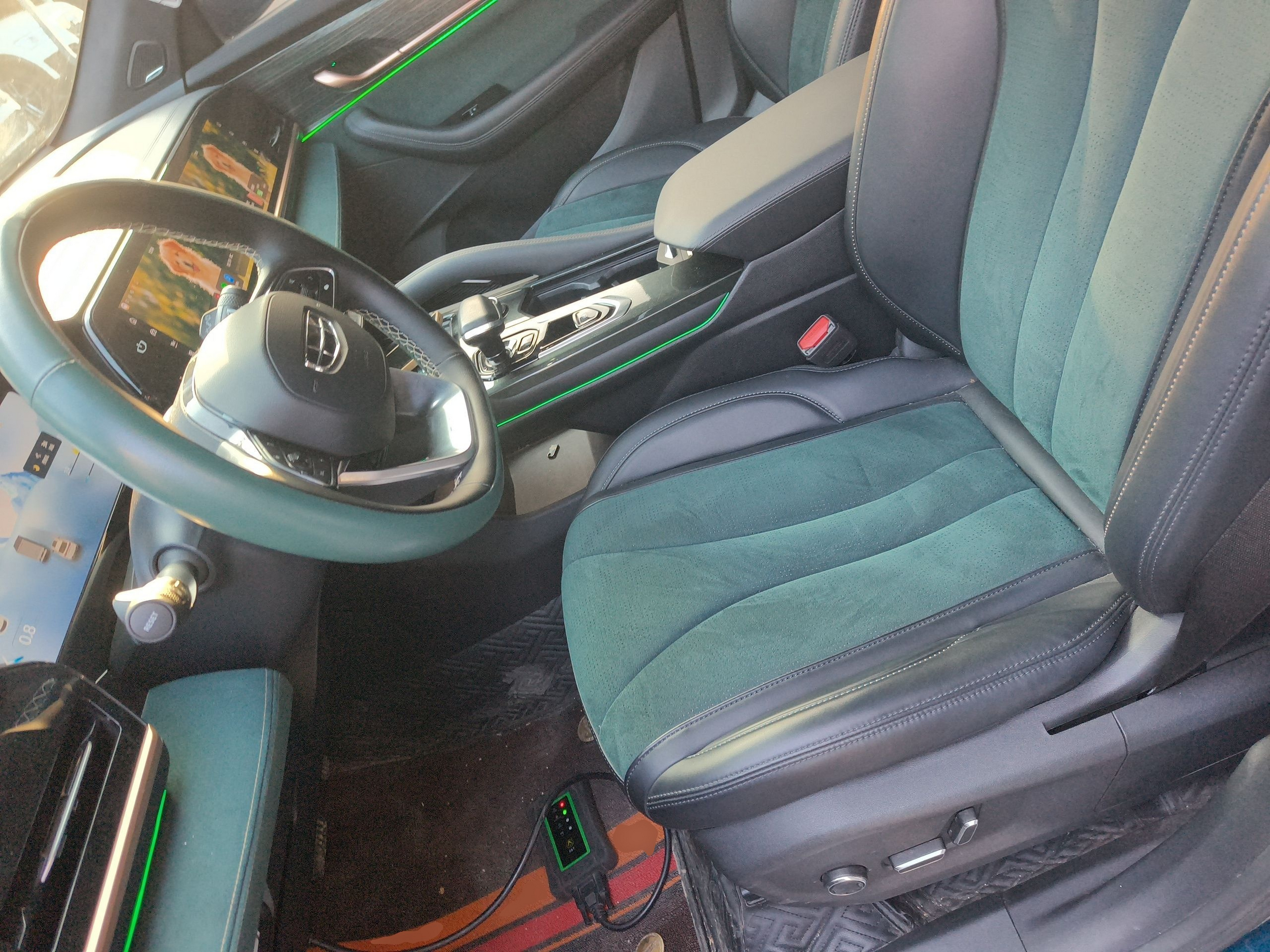 Interior delantero