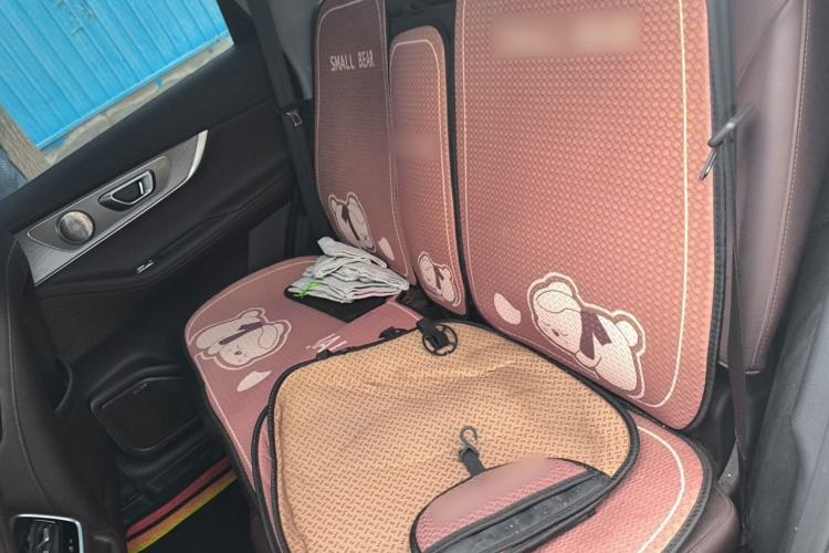 Used Chery Tiggo 8 PRO 2024 Champion Edition 290T Two-Wheel Drive Peak Version 5 Seats