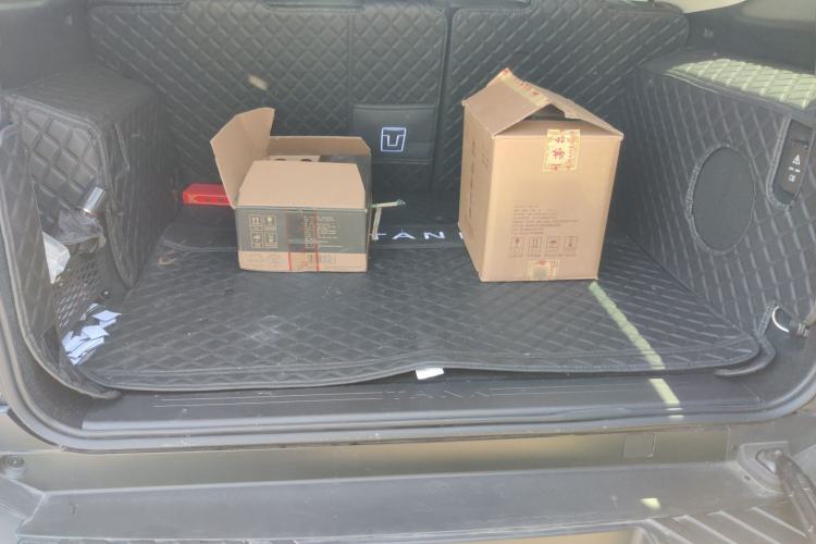 Used Tank 400 2025 2.0T Gasoline Version
