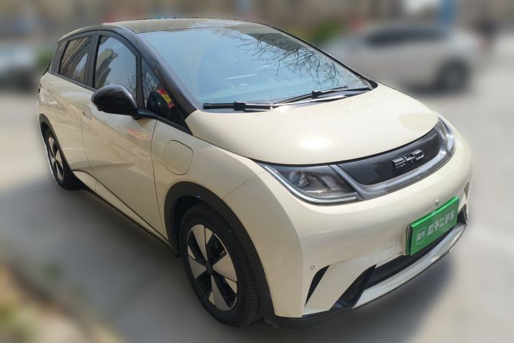 Used BYD Dolphin 2023 420 km Fashion Edition
