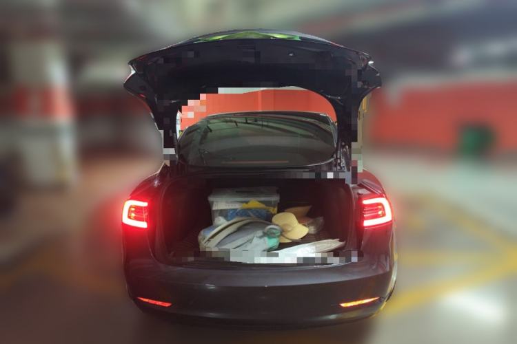 Used Tesla Model 3 2021 Standard Range Rear-Wheel Drive Upgraded Version 3D6