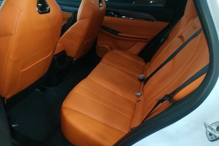 Used Dongfeng Aeolus L7 New Energy 2024 205 Plus Left Rear Seat