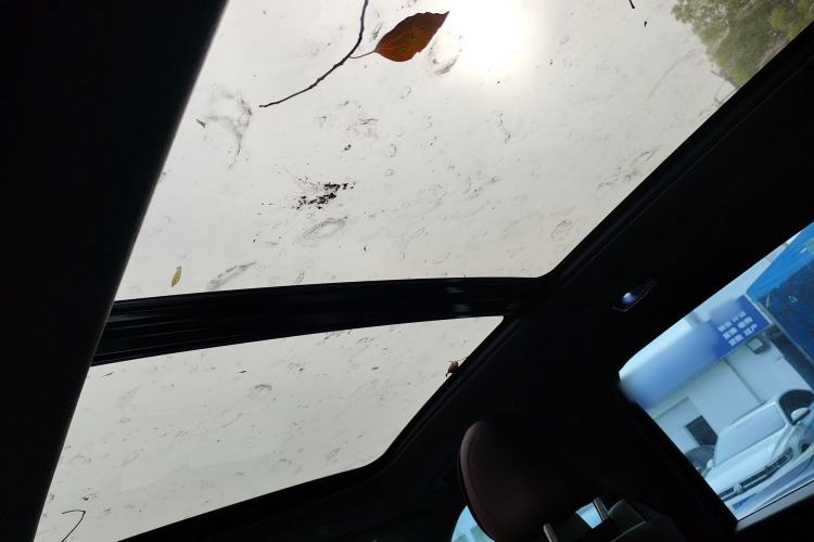 Used Geely Auto Monjaro L 2024 2.0TD High-Power Automatic Two-Wheel Drive Yunqi Version Headliner