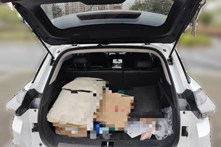 Used NETA U 2023 NETA U-Ⅱ Challenge Edition 500 U Show – Lithium Iron Phosphate