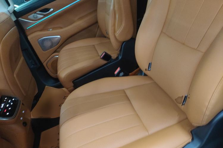 Used Wey Lanshan 2025 Four-Wheel Drive Max Left Rear Seat