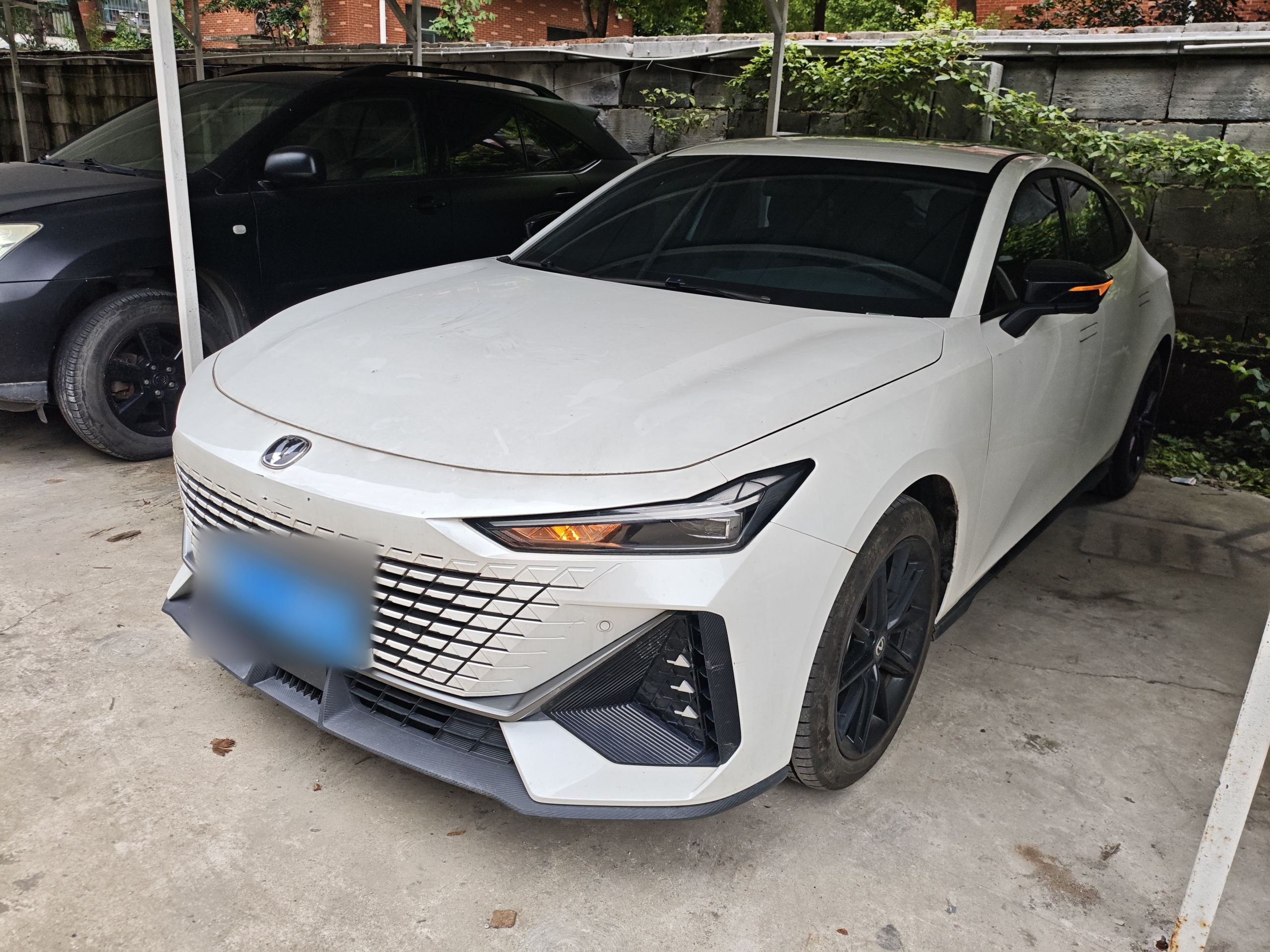 Under Front Bumper