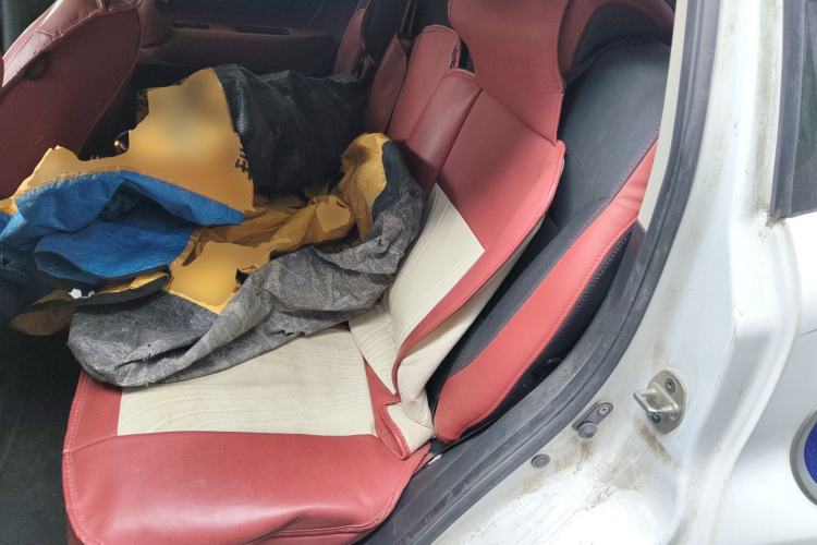 Used JAC Group iEV6E 2018 Upgraded iEV6E Luxury Model Left Rear Seat