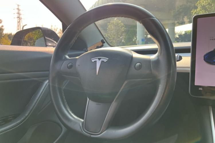Used Tesla Model 3 2019 Long-Range All-Wheel-Drive Version
