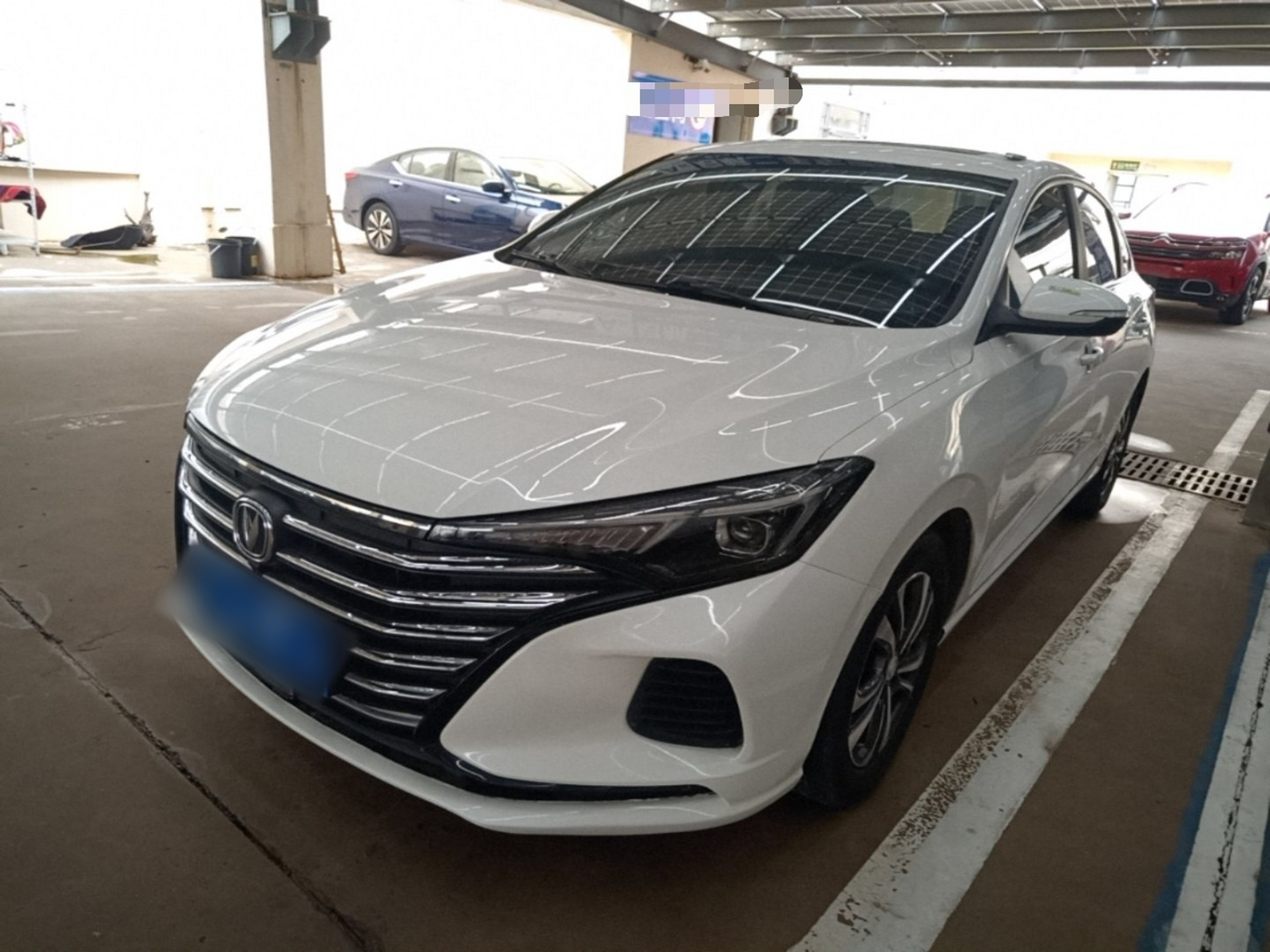 Under Front Bumper