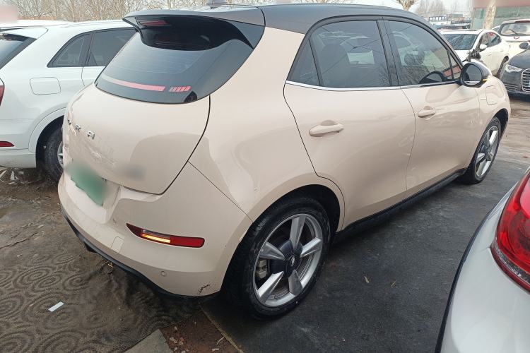 Used ORA Good Cat 2022 Morandi Edition 400km Standard Range Luxury Version Lithium-Ion Battery
