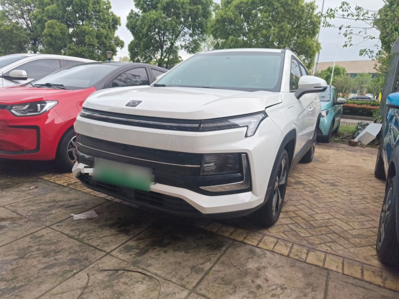 Parte inferior delantera