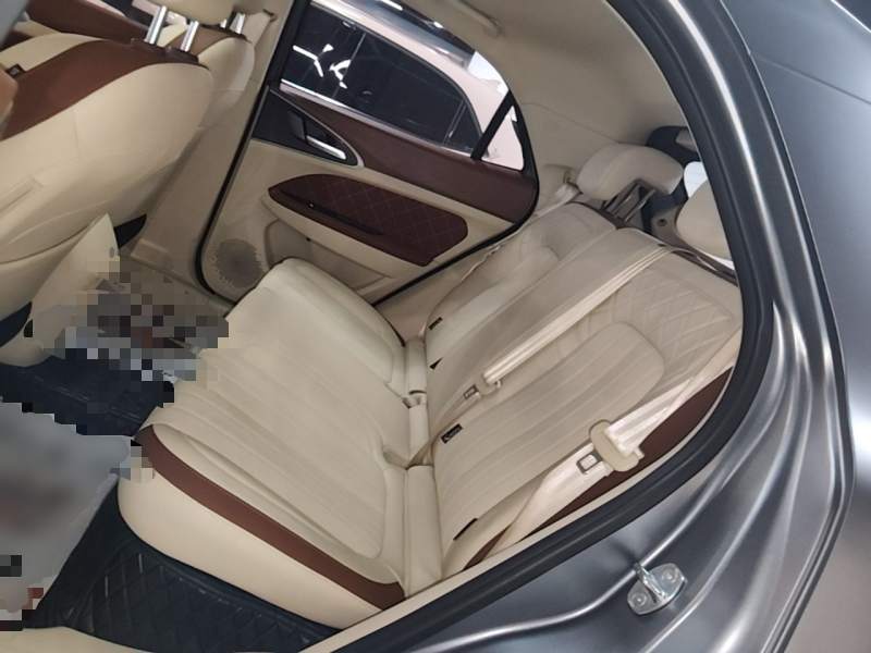 Used ORA Good Cat 2025 Model, 430 km Prestige Version — 16