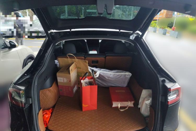 Used Tesla Model Y 2021 Standard Range Rear-Wheel Drive Version