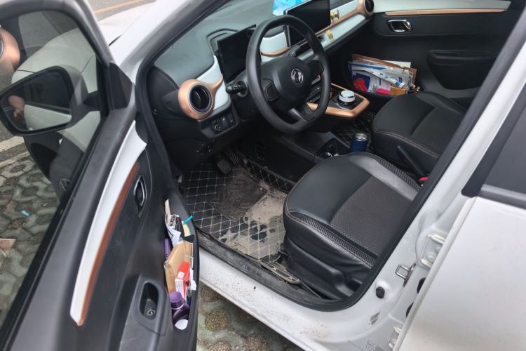 Used Dongfeng NAMMI EX1 2023 PRO Light Wind Edition Lightning Model
