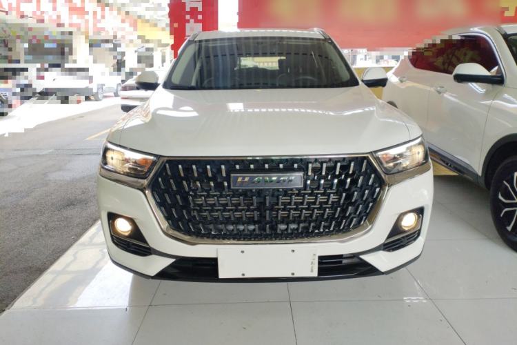 Used Haval H6 2023 National Trend Edition 1.5T Automatic Urban Version
