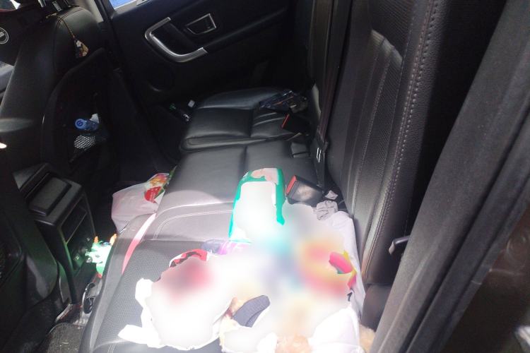 Used Land Rover Discovery Sport 2016 2.0T HSE