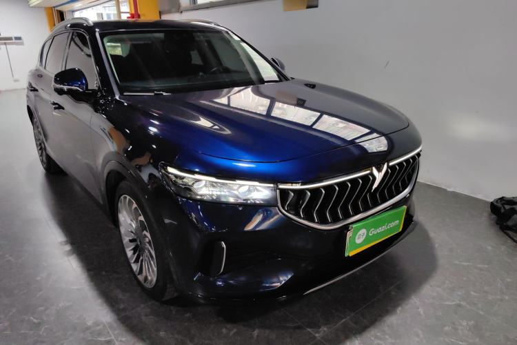 Used VOYAH FREE 2021 Four-Wheel Drive Standard Range-Extended Exclusive Luxury Package
