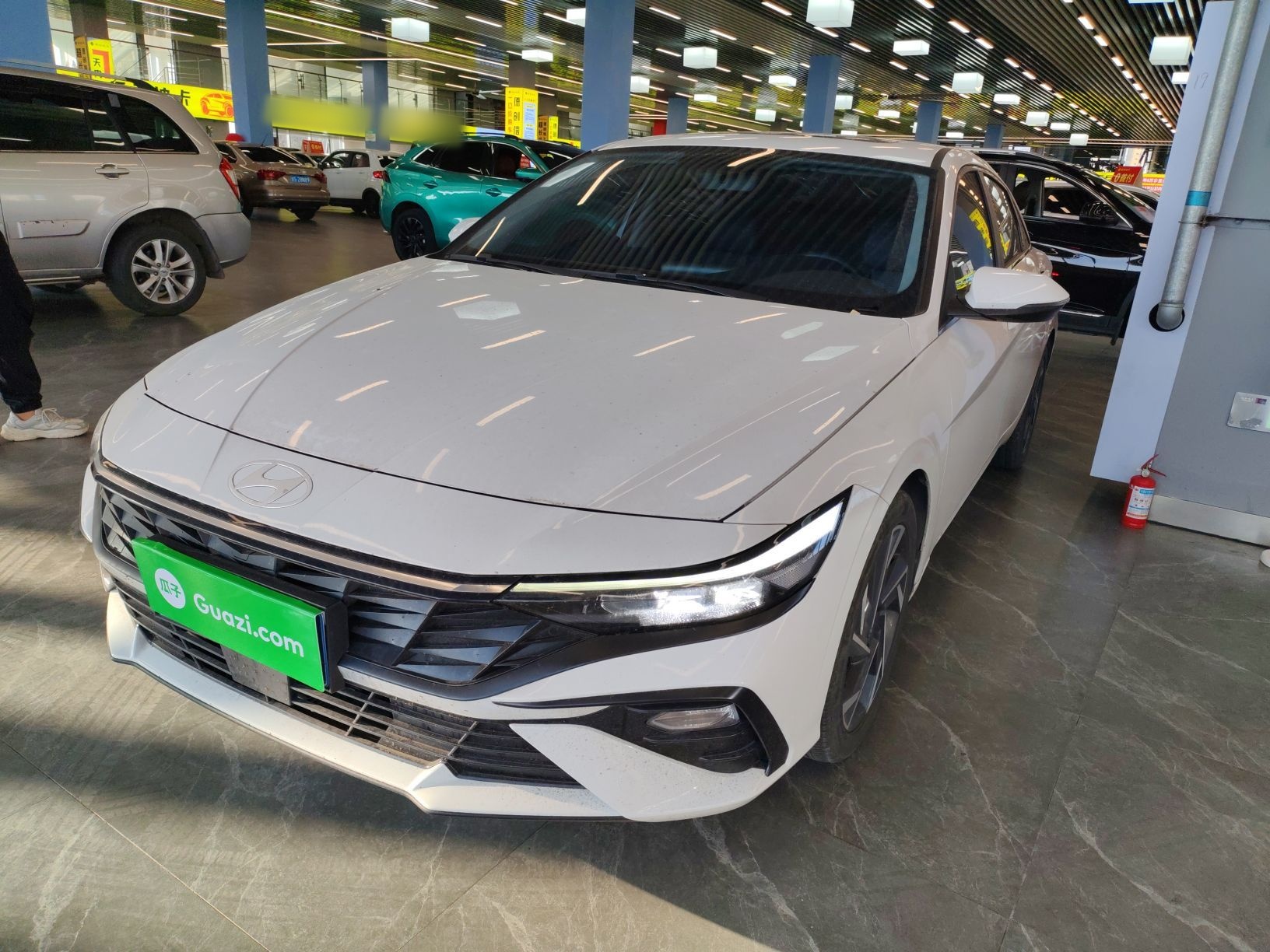 تحت مقدمة السيارة