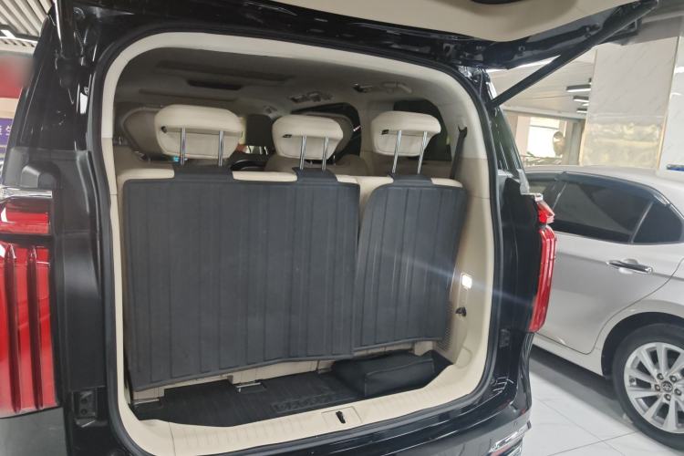 Used Wey Gaoshan 2023 Four-Wheel Drive Flagship Edition