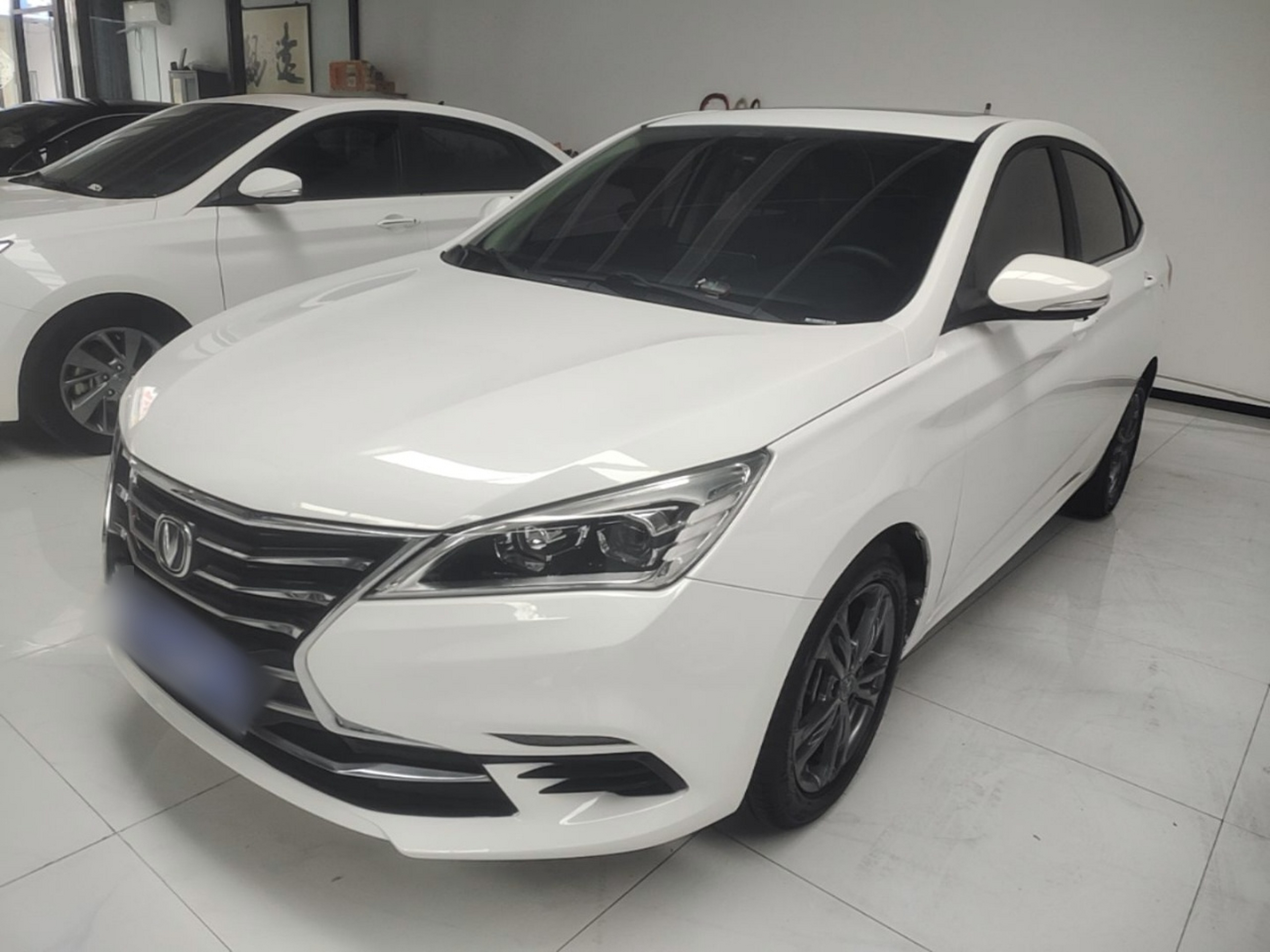 Under Front Bumper