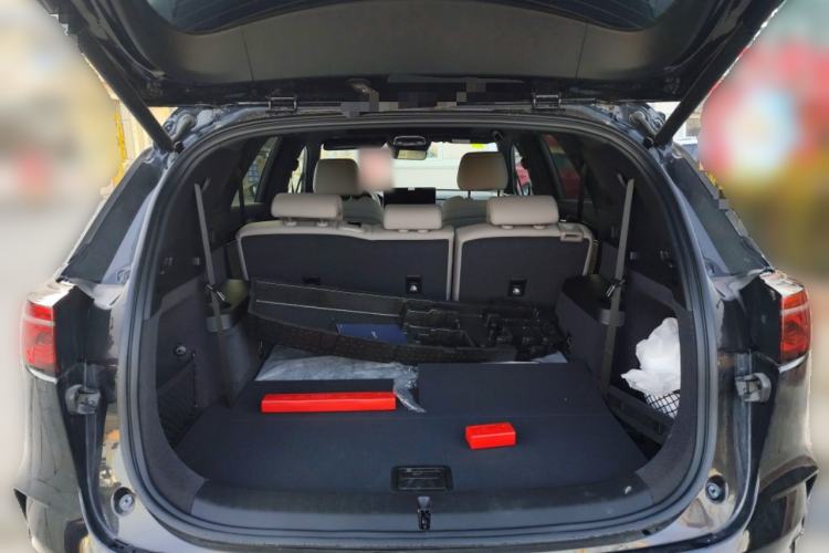 Used BYD Tang New Energy 2025 DM-i 115KM Prestige Model